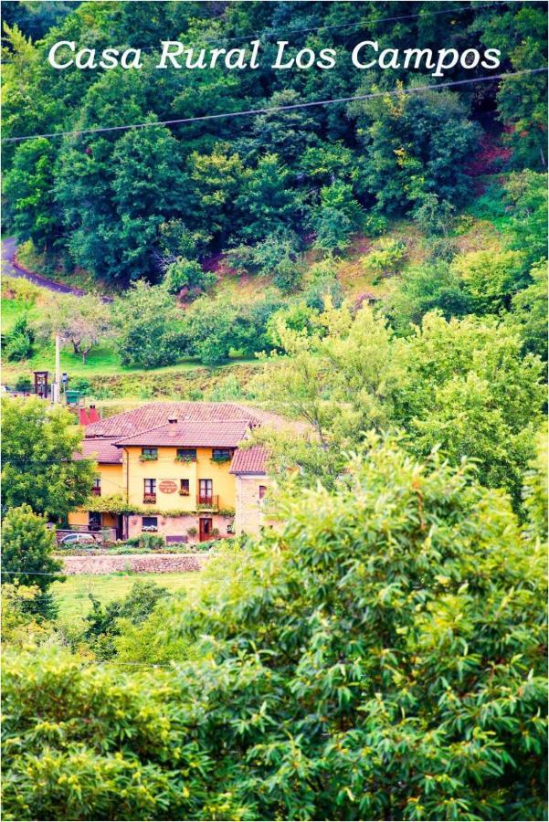 Casa Rural Los Campos Corao Exterior foto